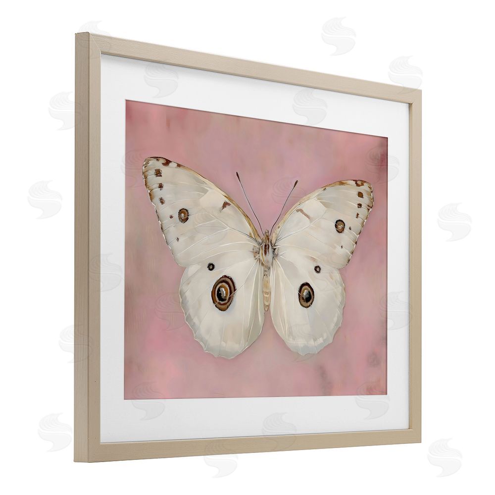 Arlington Prints Gossamer Butterfly on Blush Background Brown Framed Print Under Glass Wall Art
