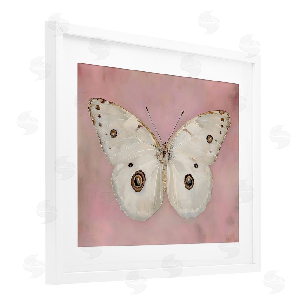 Arlington Prints Gossamer Butterfly on Blush Background White Framed Print Under Glass Wall Art