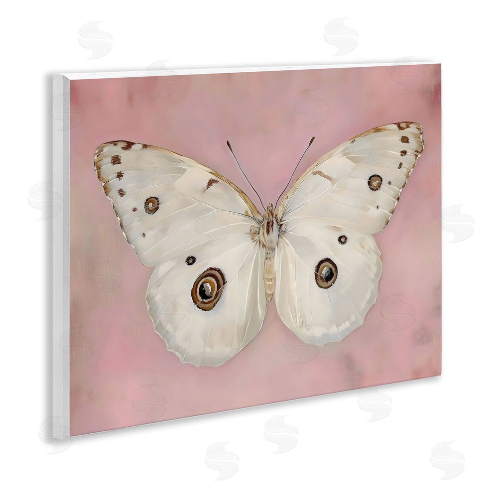 Arlington Prints Gossamer Butterfly on Blush Background Wall Plaque Home Decor Art Print