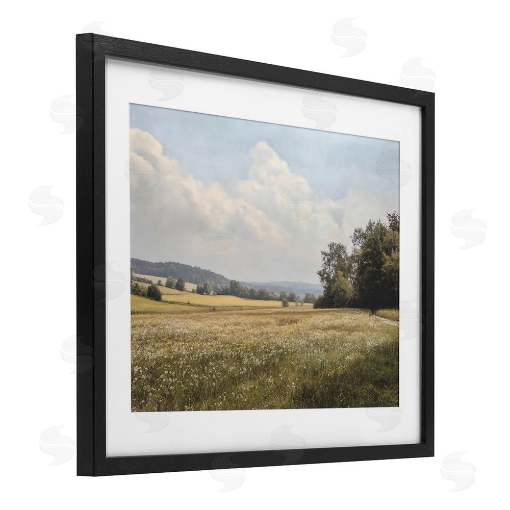 Franklyn Gregory Summer Landscape Cloudy Meadow Black Framed Print Under Glass with White Mat Wall Art