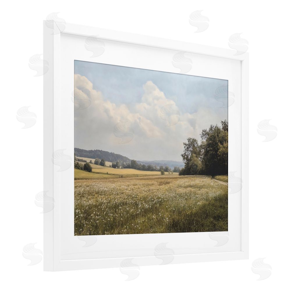 Franklyn Gregory Summer Landscape Cloudy Meadow White Framed Print Under Glass with White Mat Wall Art