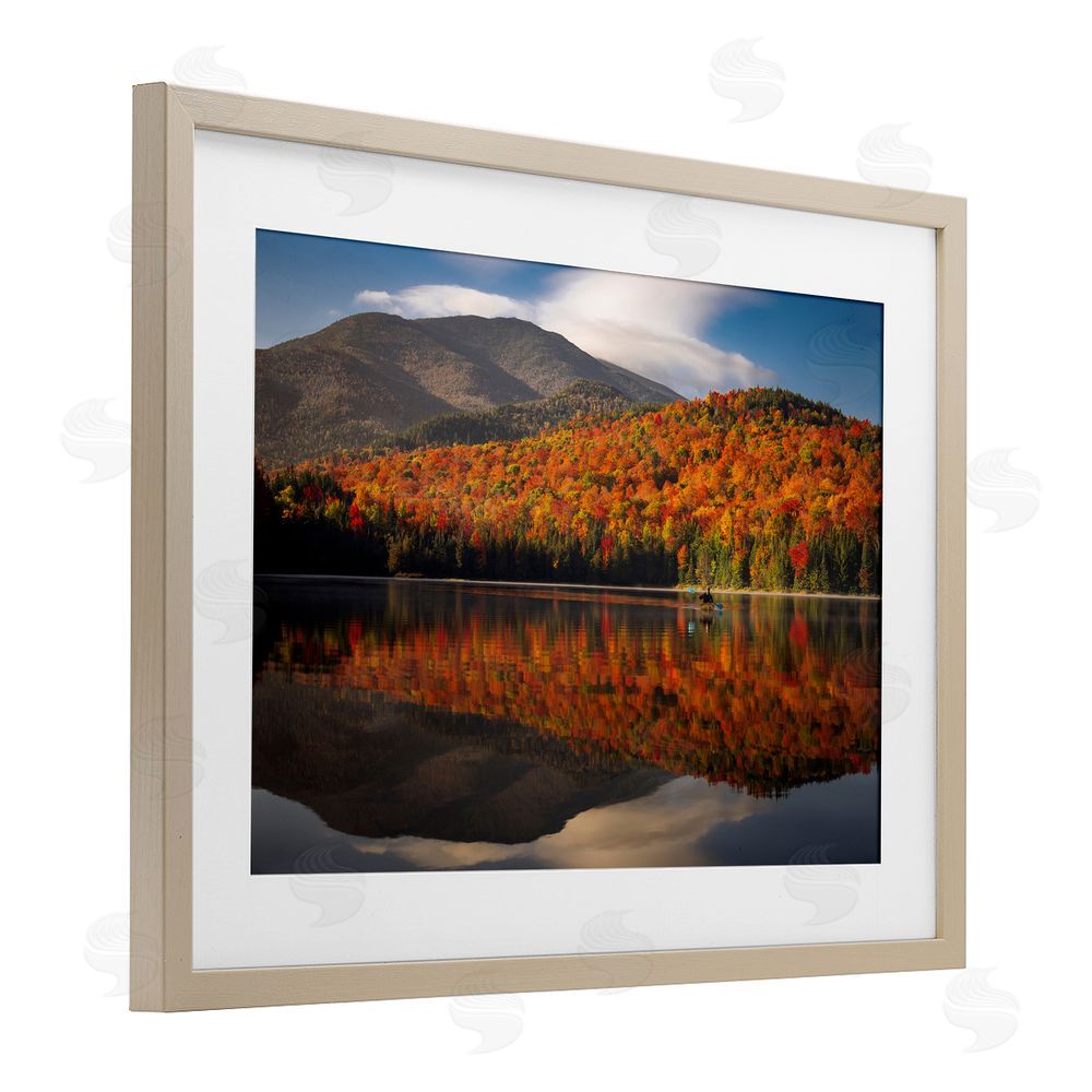 Jonathan Zaharek Reflecting Autumn Foliage Birch Framed Print Under Glass with White Mat Wall Art