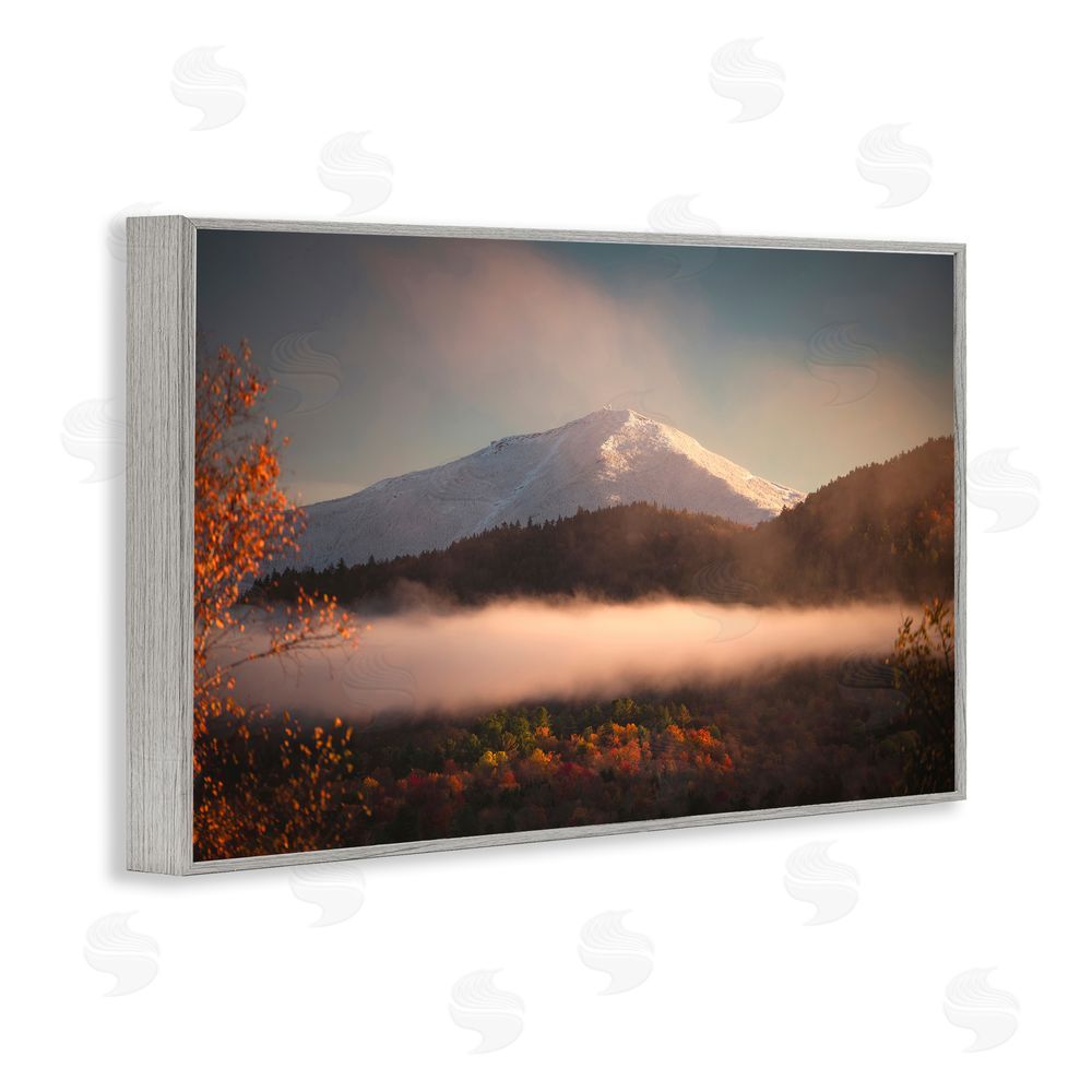 Jonathan Zaharek Fall Foliage & Snowy Mountain Peak Gray Framed Giclee Wall Art Print