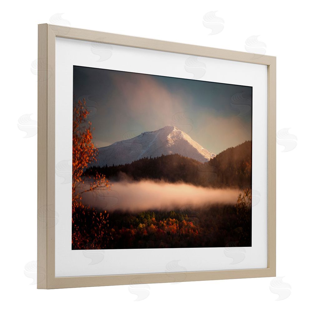 Jonathan Zaharek Fall Foliage & Snowy Mountain Peak Birch Framed Print Under Glass with White Mat Wall Art