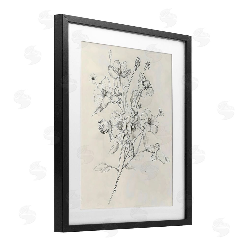 Creative Studio Wildflower Outline Study Black Framed Print Under Glass with White Mat Wall Art