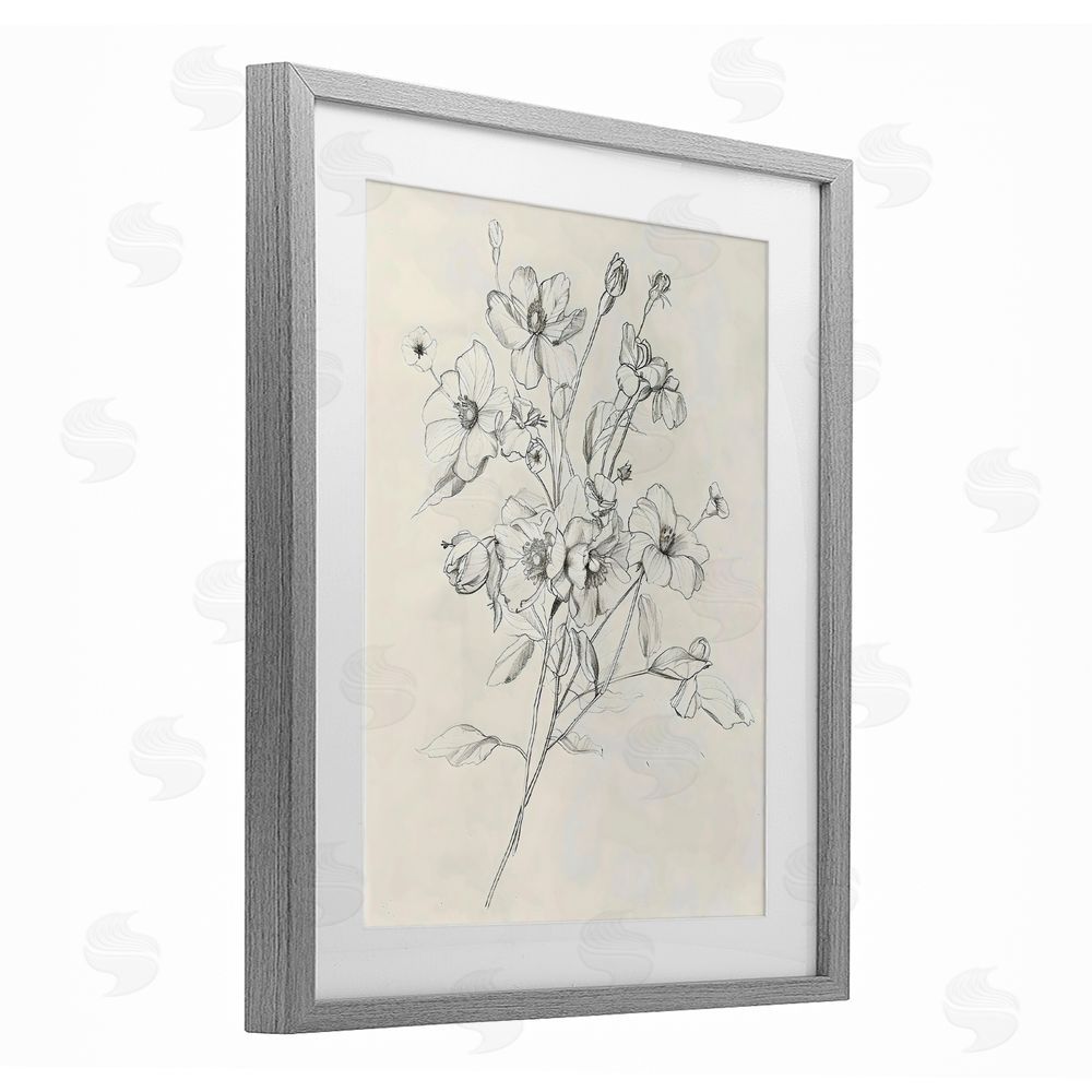 Creative Studio Wildflower Outline Study Gray Framed Print Under Glass with White Mat Wall Art