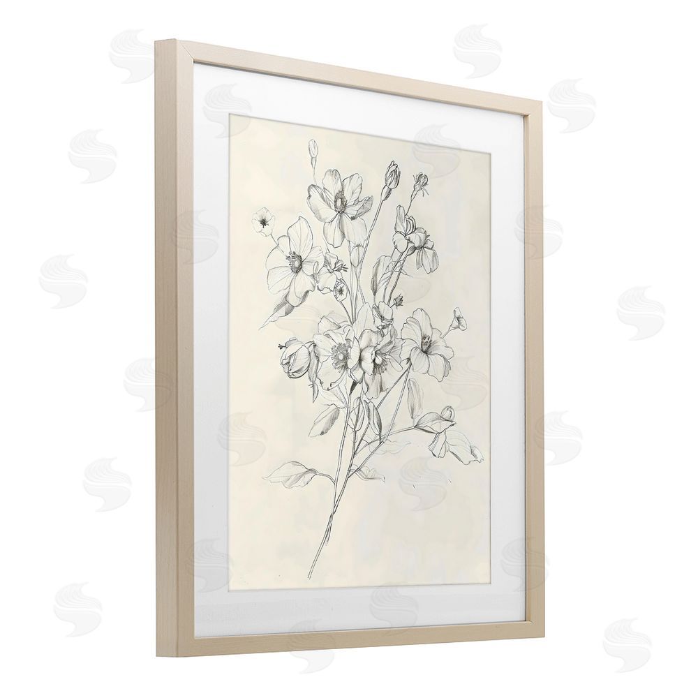 Creative Studio Wildflower Outline Study Brown Framed Print Under Glass with White Mat Wall Art
