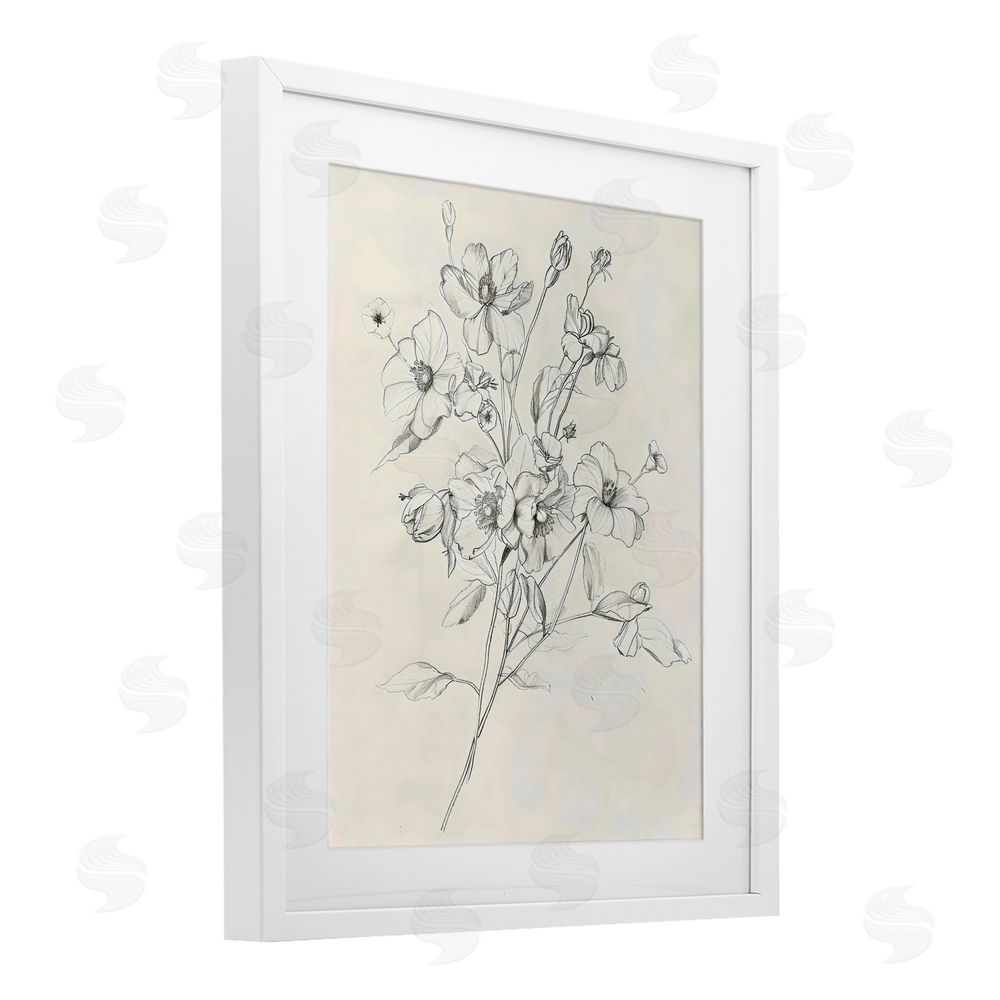 Creative Studio Wildflower Outline Study White Framed Print Under Glass with White Mat Wall Art