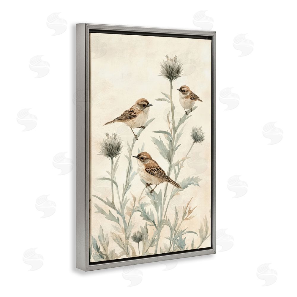 Petal Prints Design Sparrows on Thistle Stems Gray Floating Framed Canvas Wall Art Print
