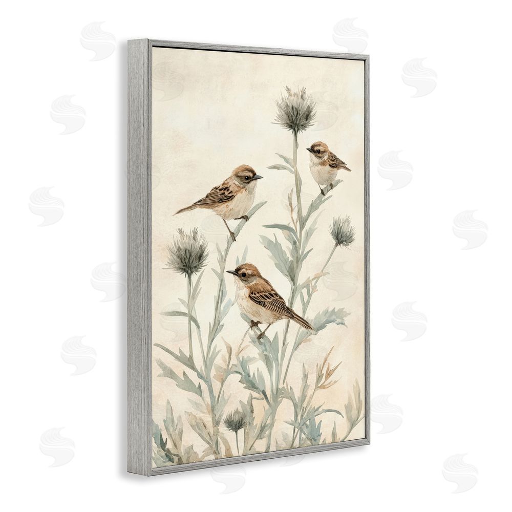 Petal Prints Design Sparrows on Thistle Stems Gray Framed Giclee Wall Art Print