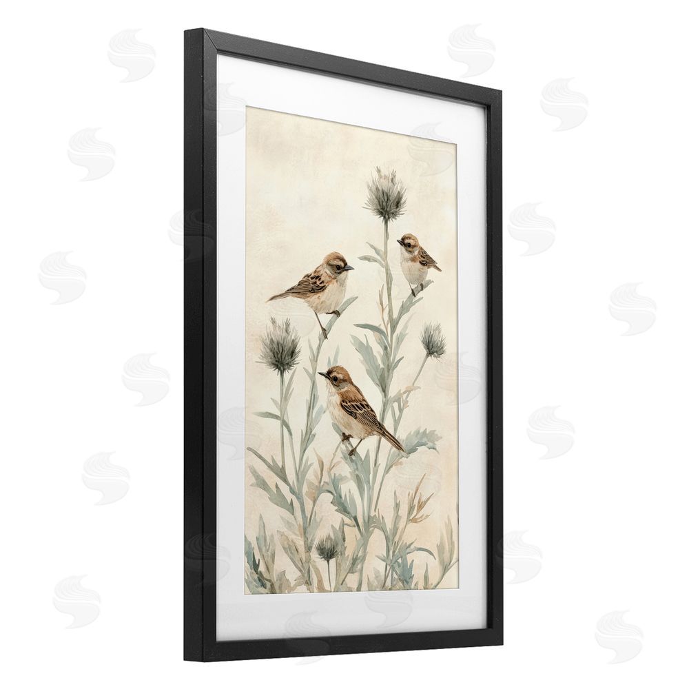Petal Prints Design Sparrows on Thistle Stems Black Framed Print Under Glass with White Mat Wall Art