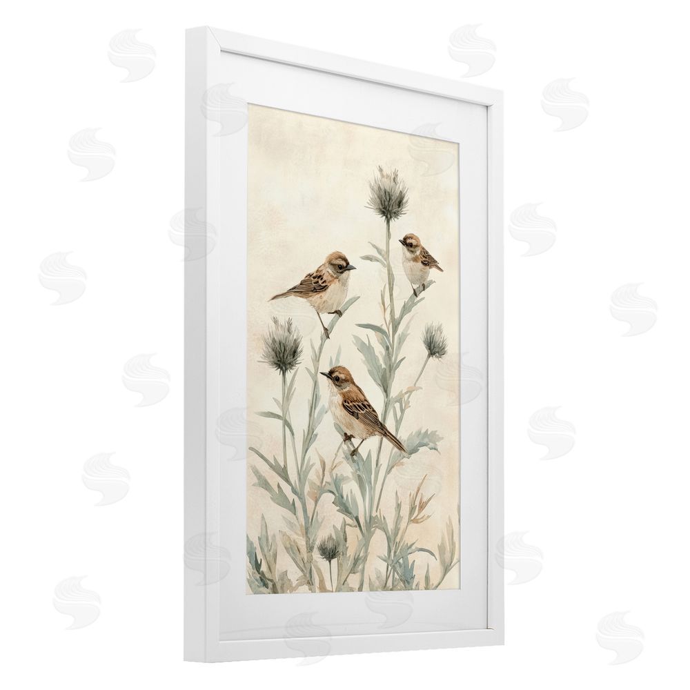Petal Prints Design Sparrows on Thistle Stems White Framed Print Under Glass with White Mat Wall Art