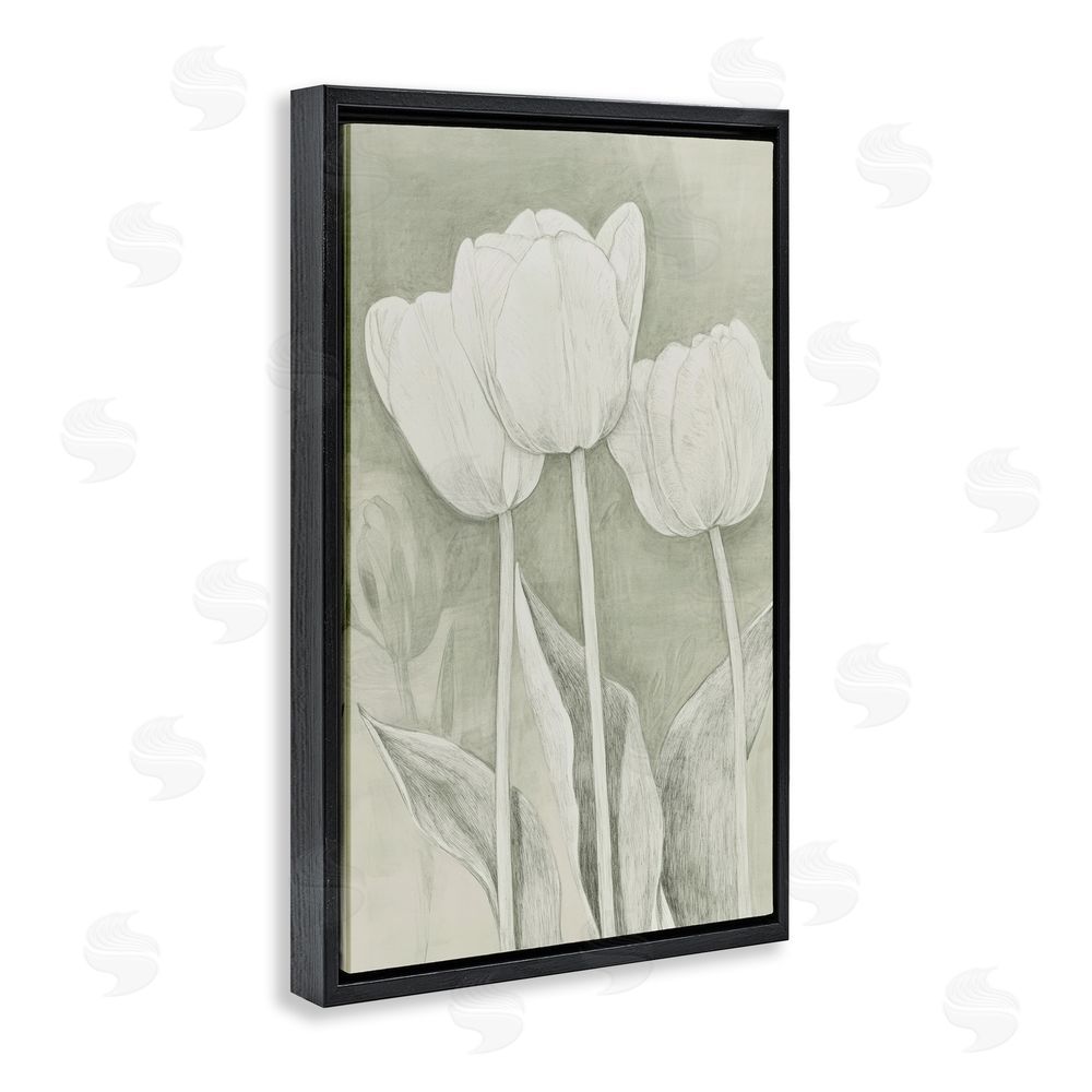 Petal Prints Design Faded Tulips Pencil Sketch Black Floating Framed Canvas Wall Art