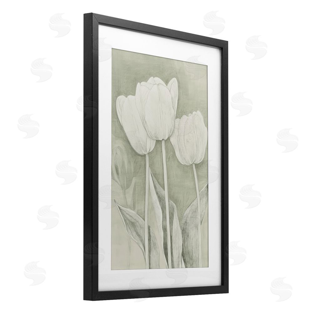 Petal Prints Design Faded Tulips Pencil Sketch Black Framed Print Under Glass Wall Art