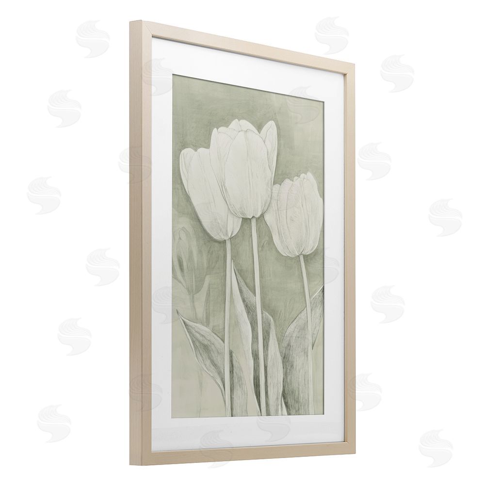 Petal Prints Design Faded Tulips Pencil Sketch Brown Framed Print Under Glass Wall Art