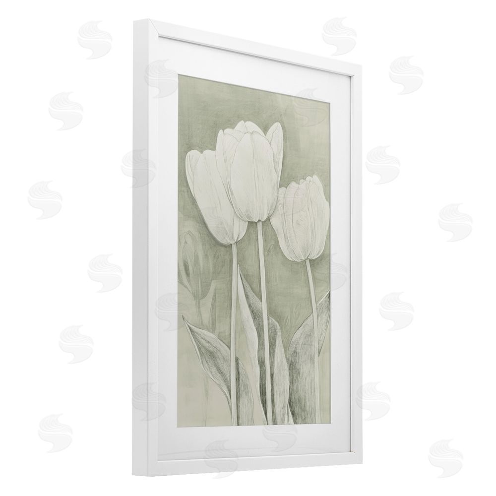 Petal Prints Design Faded Tulips Pencil Sketch White Framed Print Under Glass Wall Art