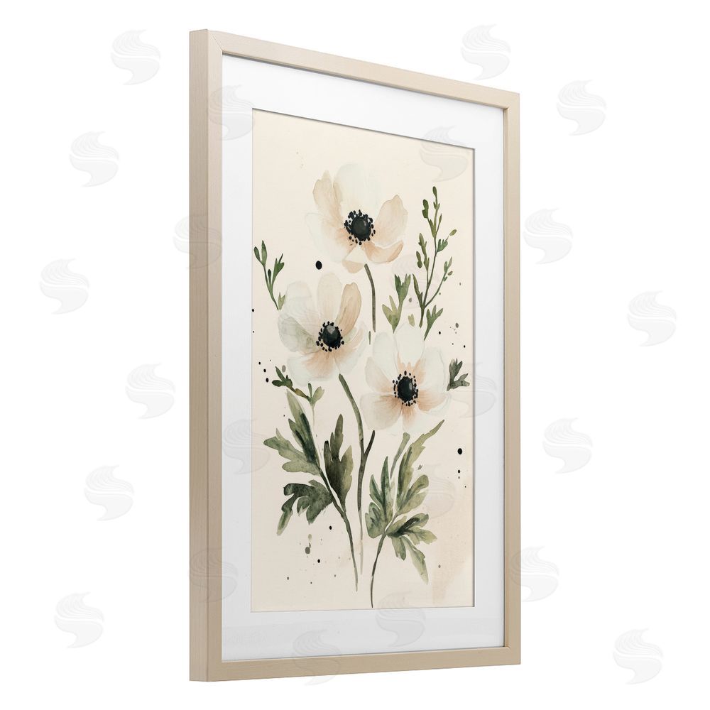 Petal Prints Design Soft White Anemone Floral Brown Framed Print Under Glass with White Mat Wall Art