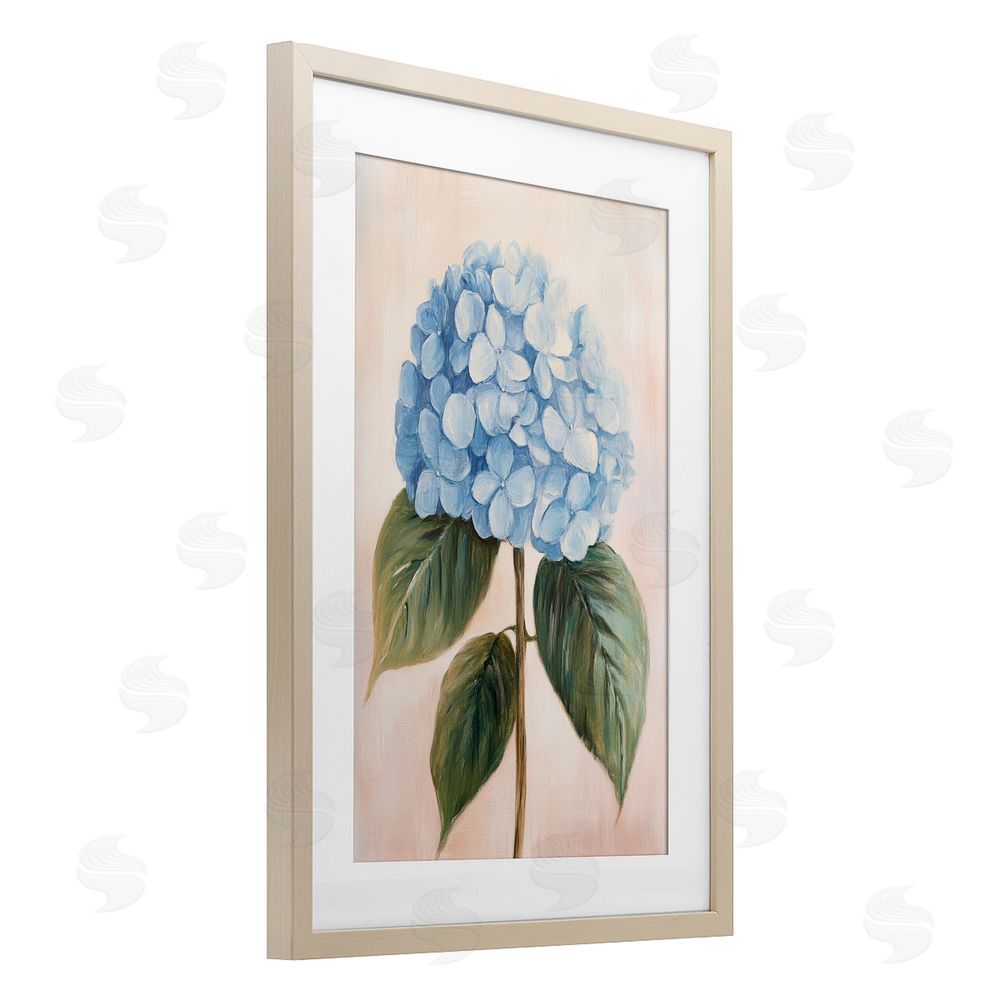 Petal Prints Design Baby Blue Hydrangea Brown Framed Print Under Glass with Matting Wall Art