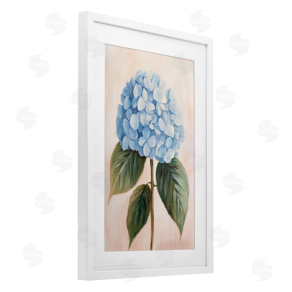 Petal Prints Design Baby Blue Hydrangea White Framed Print Under Glass with Matting Wall Art