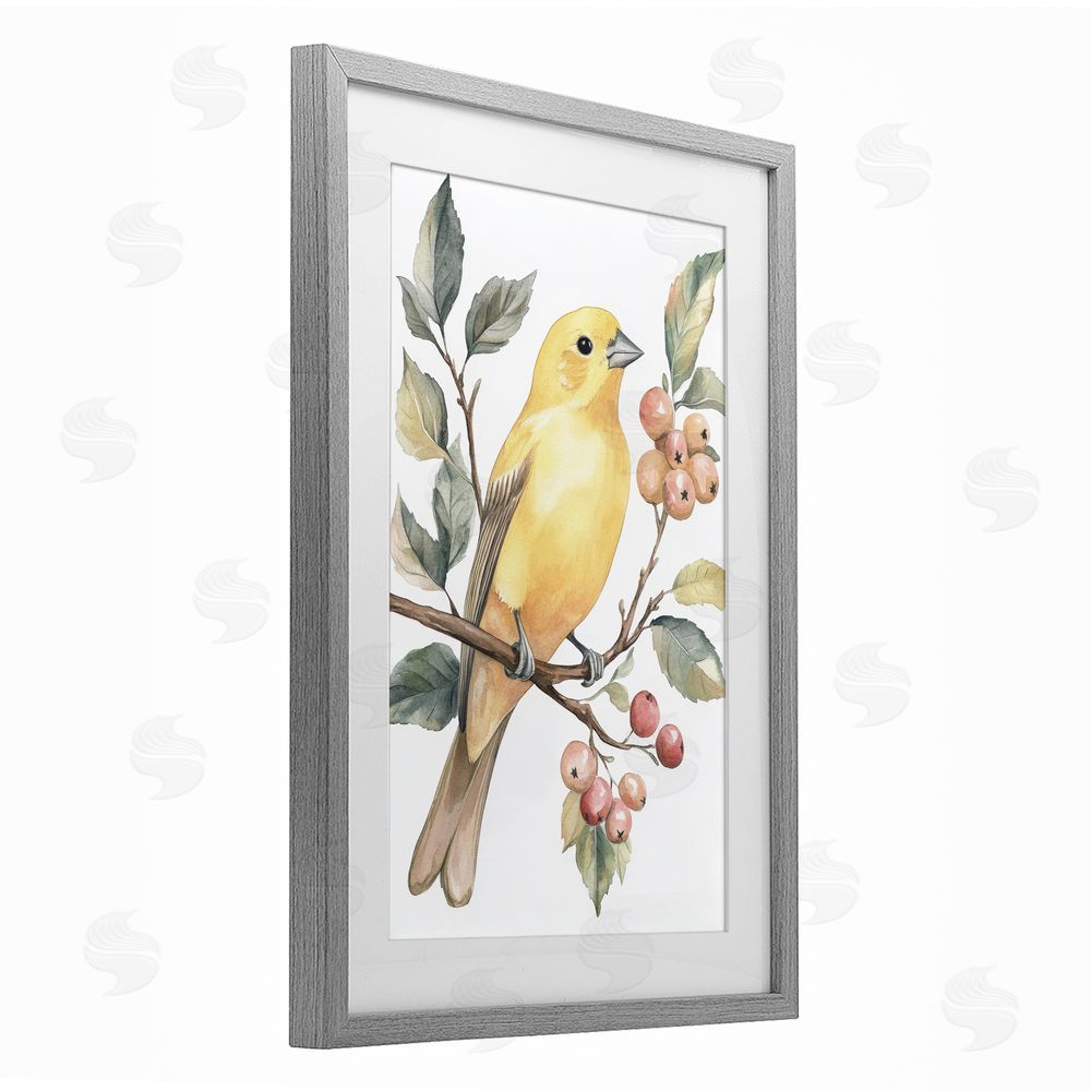 Petal Prints Design Sun Lit Bird on Branch Gray Framed Print Under Glass with White Mat Wall Art