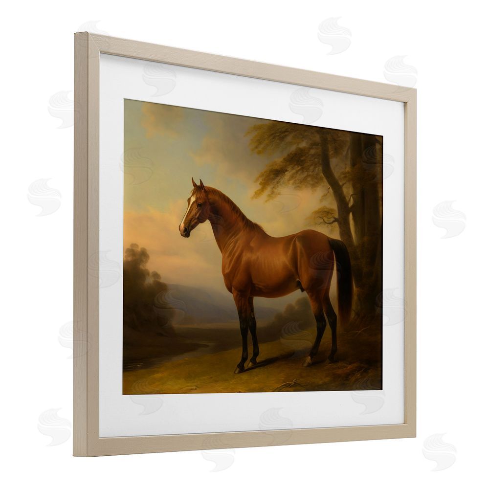 Creative Studio Vintage Chestnut Horse Brown Framed Print Under Glass with White Mat Wall Art