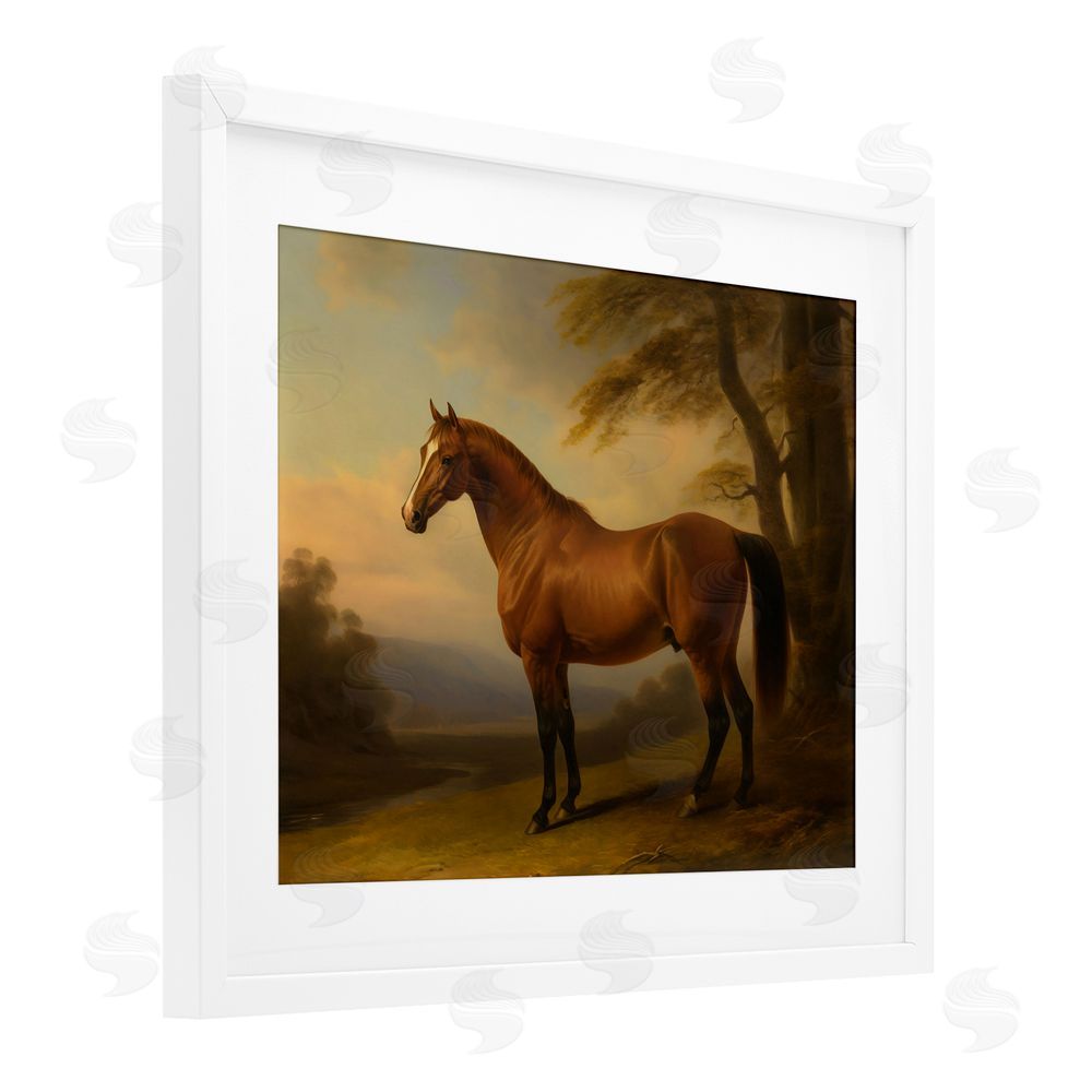Creative Studio Vintage Chestnut Horse White Framed Print Under Glass with White Mat Wall Art