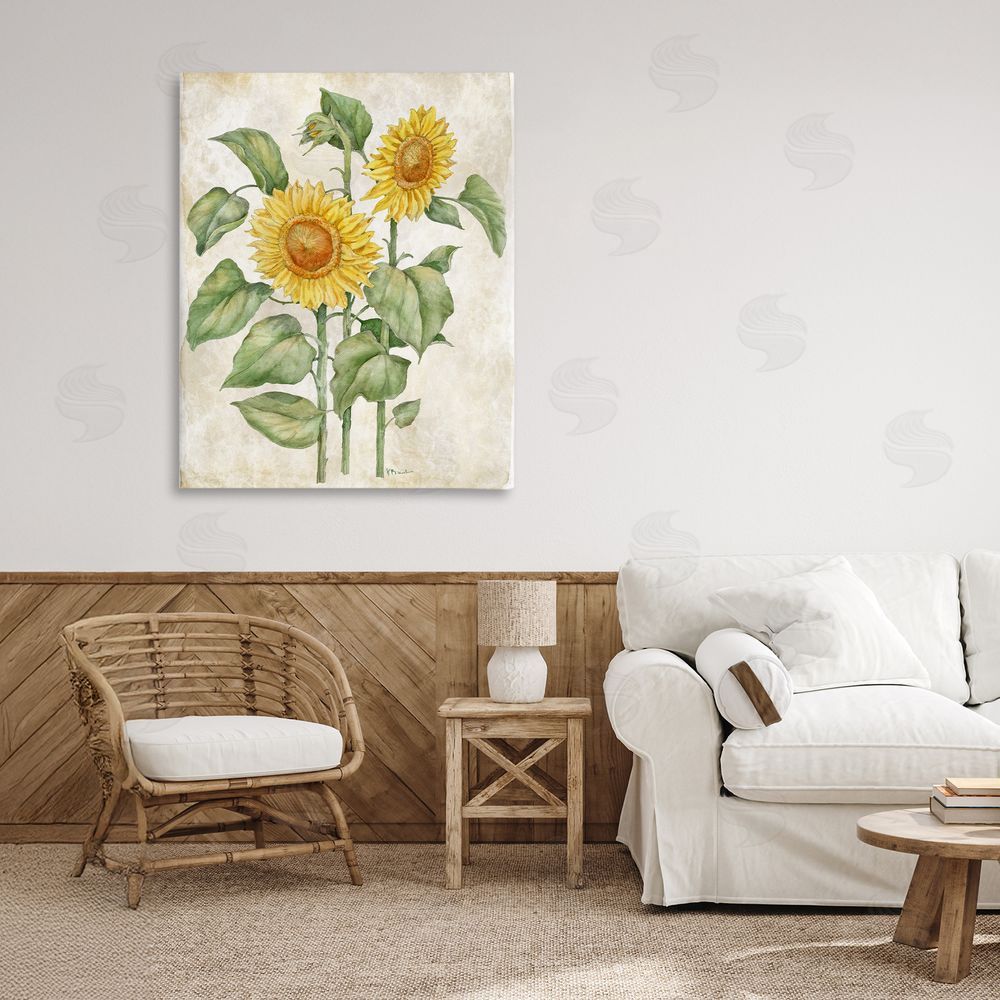 Paul Brent Floral Journal Vintage Sunflower Stretched Canvas Wall Art in Room