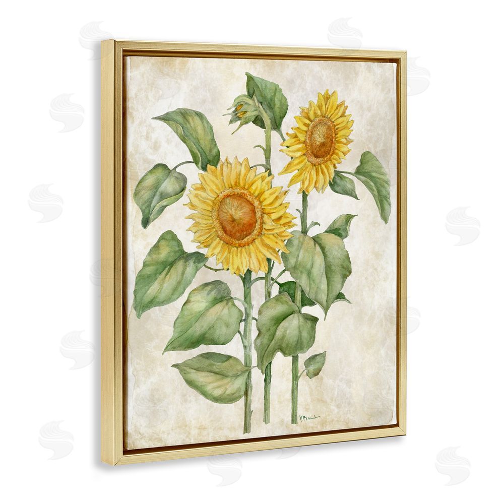 Paul Brent Floral Journal Vintage Sunflower Gold Floating Framed Canvas Wall Art