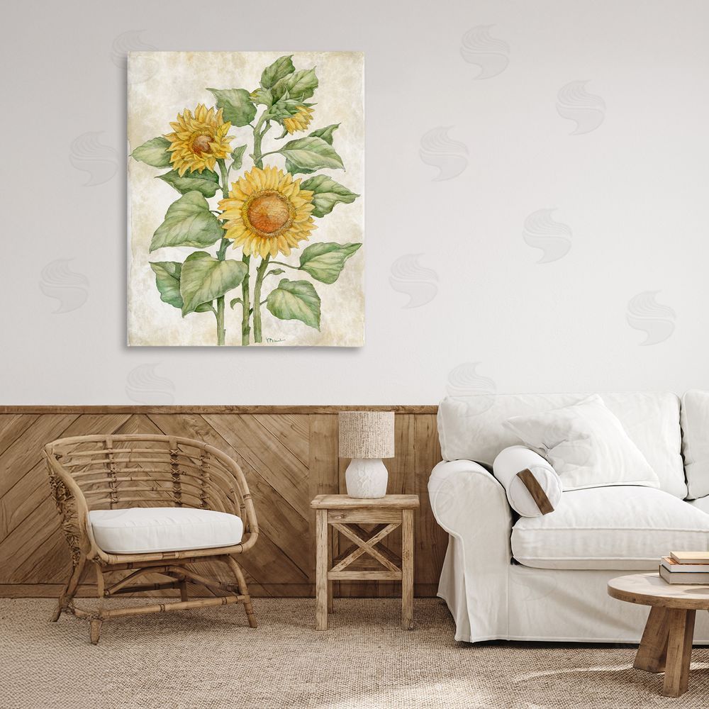 Paul Brent Floral Journal Sunflower Stretched Canvas Wall Art in Room