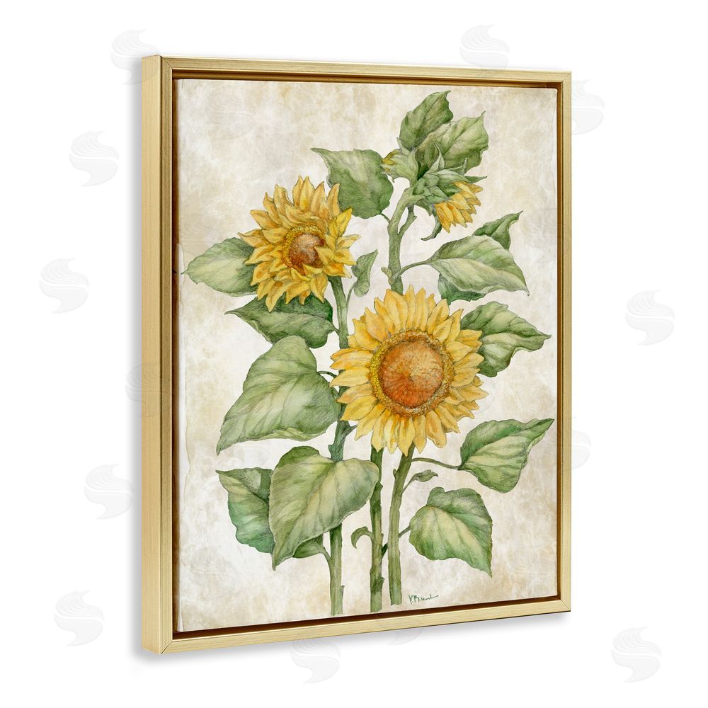 Paul Brent Floral Journal Sunflower Gold Floating Framed Canvas Wall Art