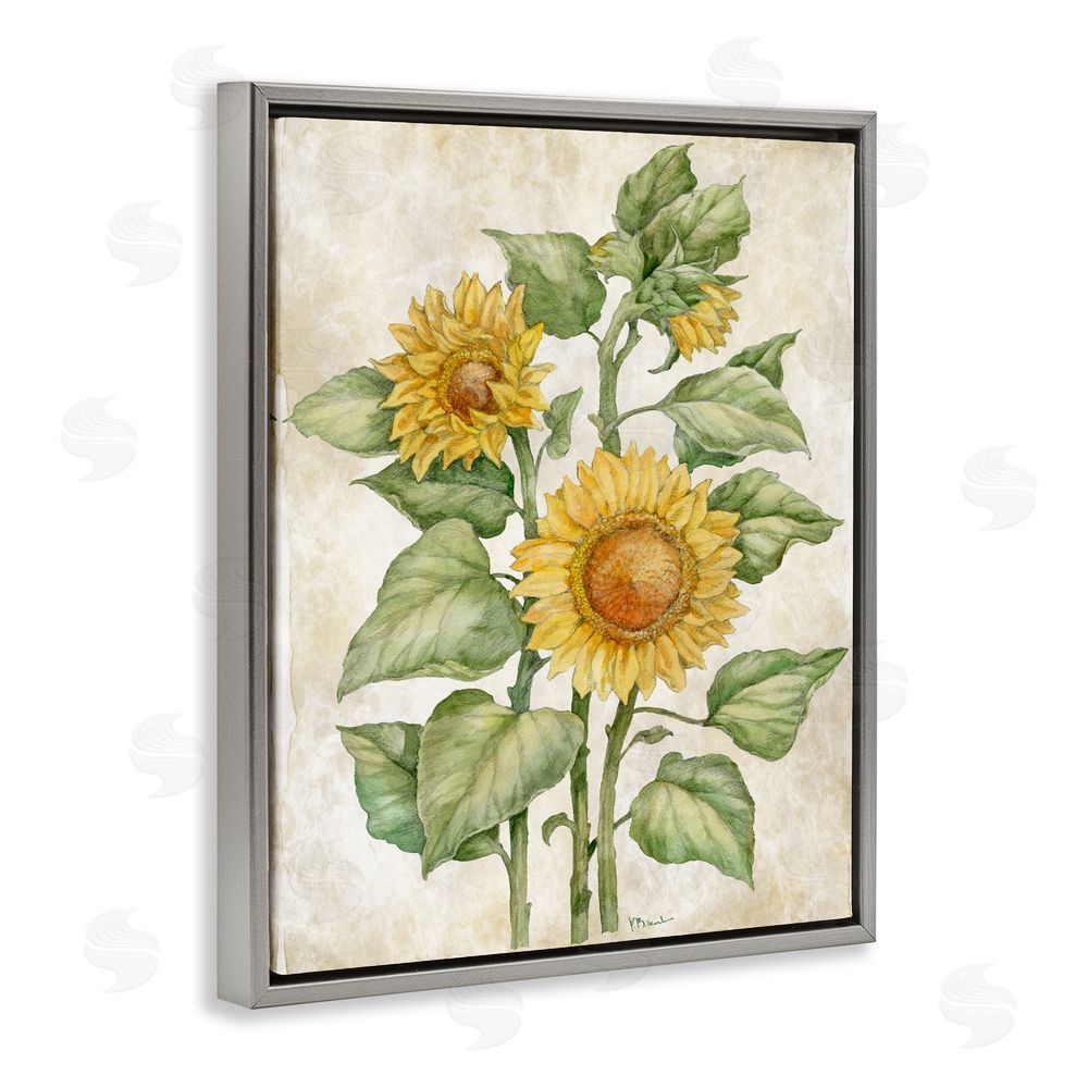 Paul Brent Floral Journal Sunflower Gray Floating Framed Canvas Wall Art