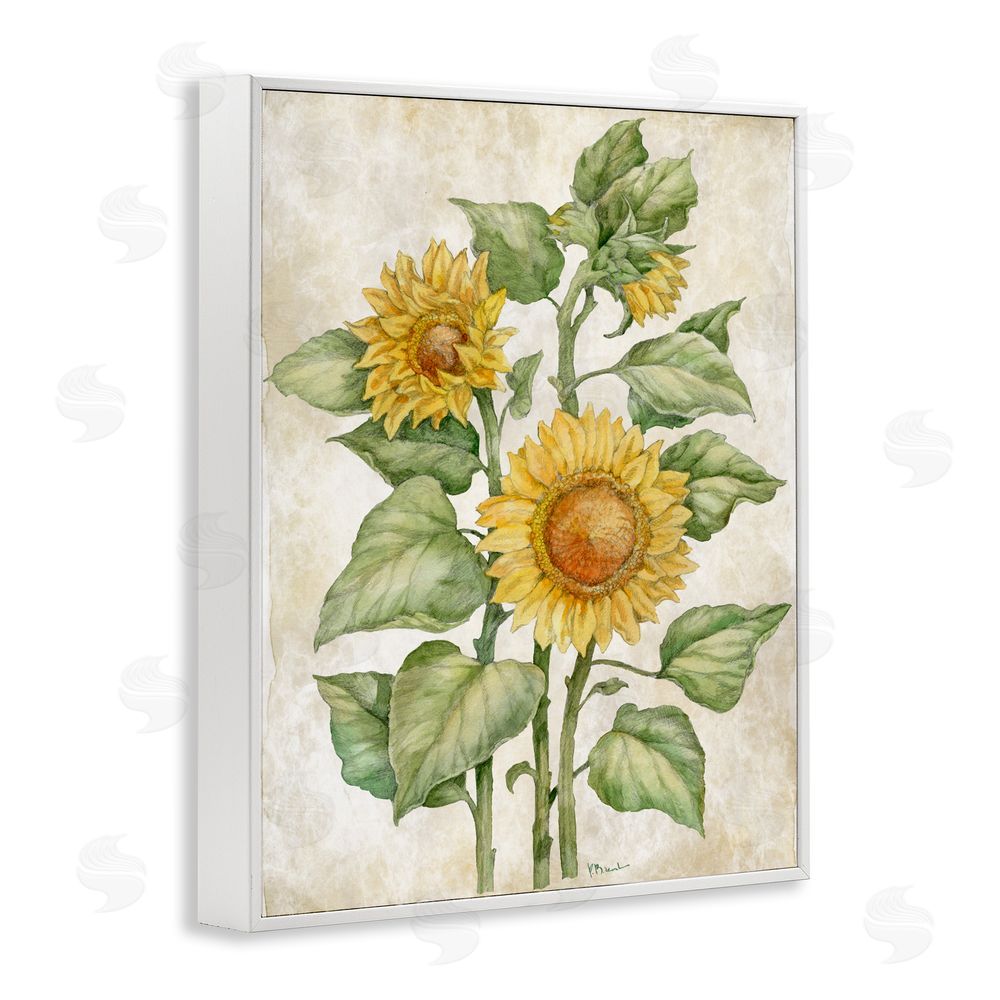 Paul Brent Floral Journal Sunflower White Framed Giclee Wall Art