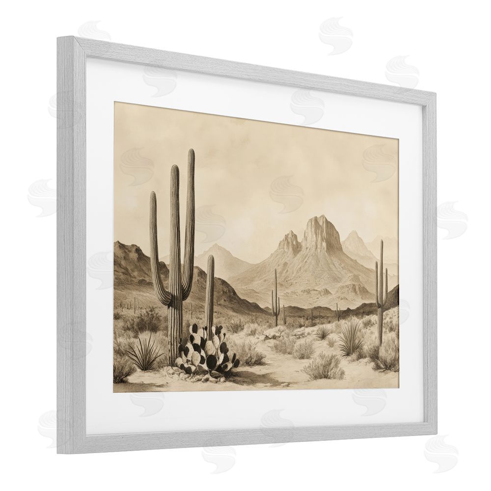 Petal Prints Design Arizona Desert Vista Gray Framed Print Under Glass with Matting Wall Art
