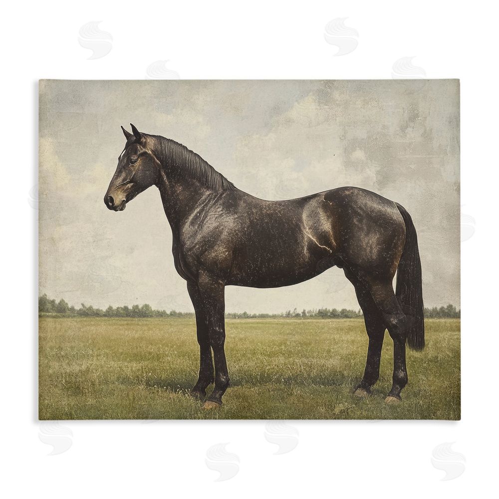 Petal Prints Design Espresso Horse in Pastoral Field Stretched Canvas Wall Art