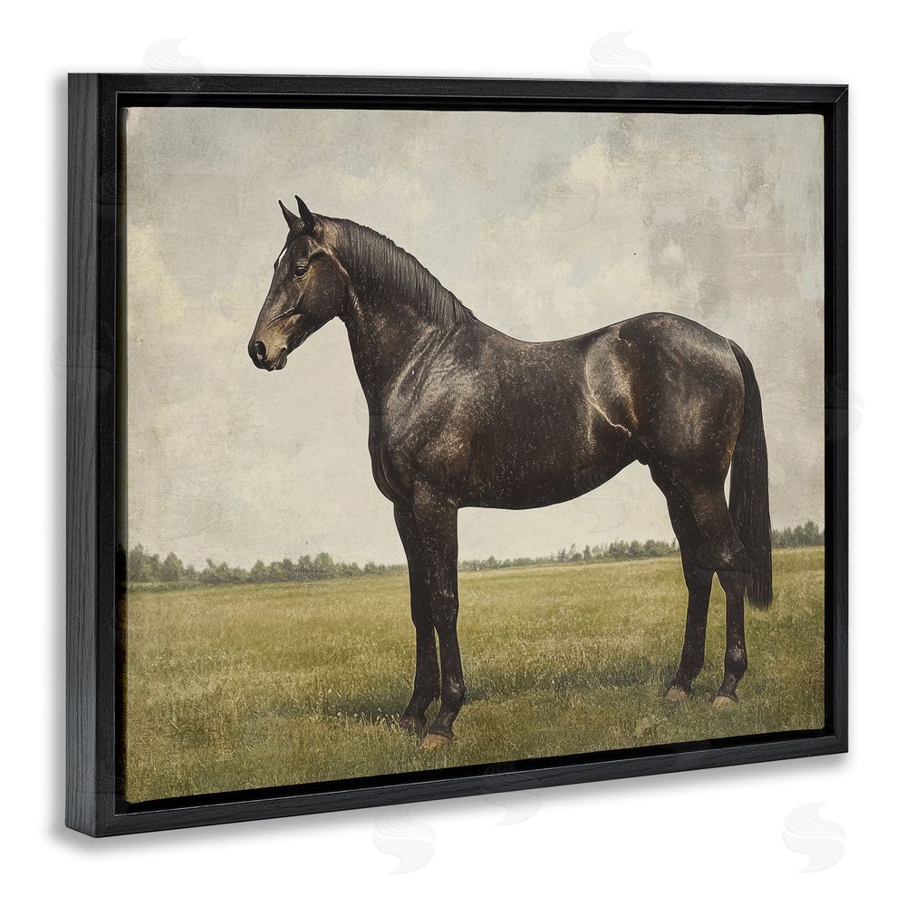 Petal Prints Design Espresso Horse in Pastoral Field Black Floating Framed Canvas Wall Art