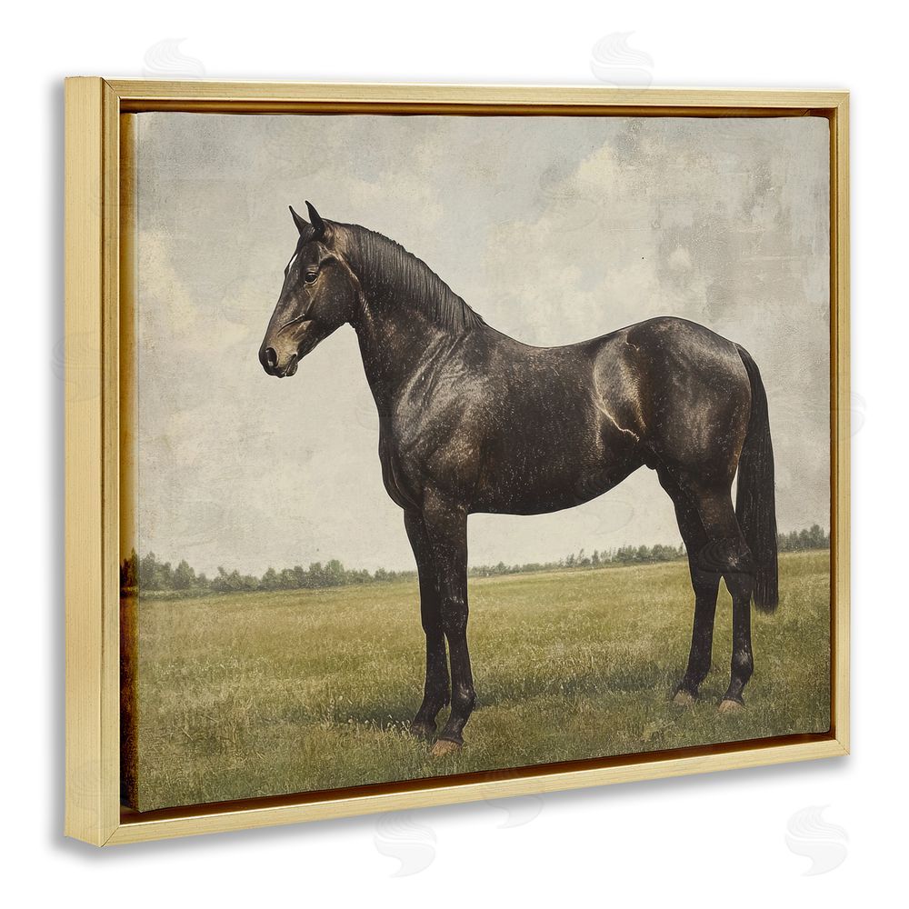 Petal Prints Design Espresso Horse in Pastoral Field Gold Floating Framed Canvas Wall Art