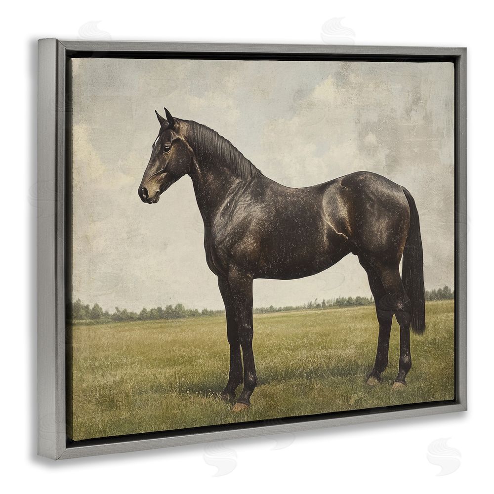 Petal Prints Design Espresso Horse in Pastoral Field Gray Floating Framed Canvas Wall Art