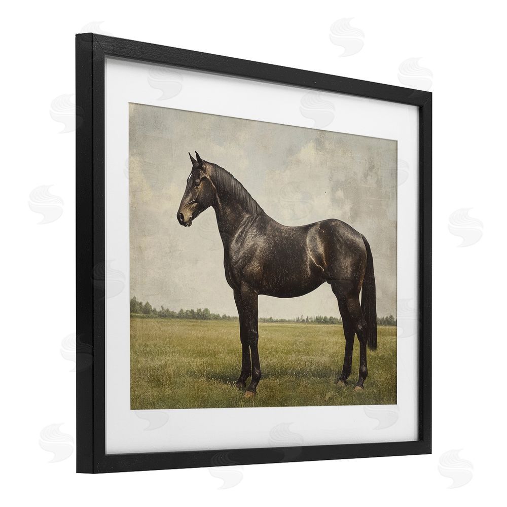 Petal Prints Design Espresso Horse in Pastoral Field Black Framed Print Under Glass Wall Art