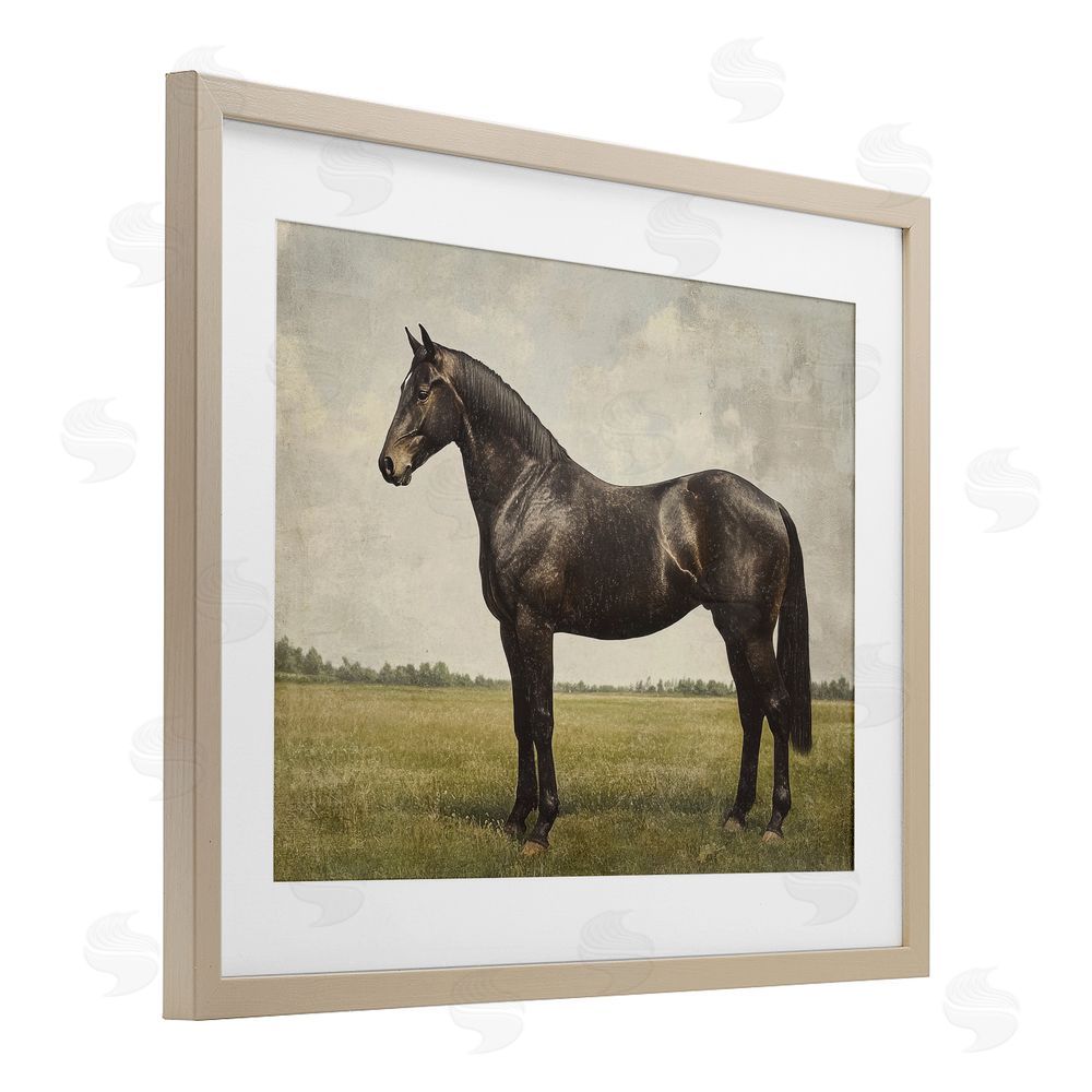 Petal Prints Design Espresso Horse in Pastoral Field Brown Framed Print Under Glass Wall Art