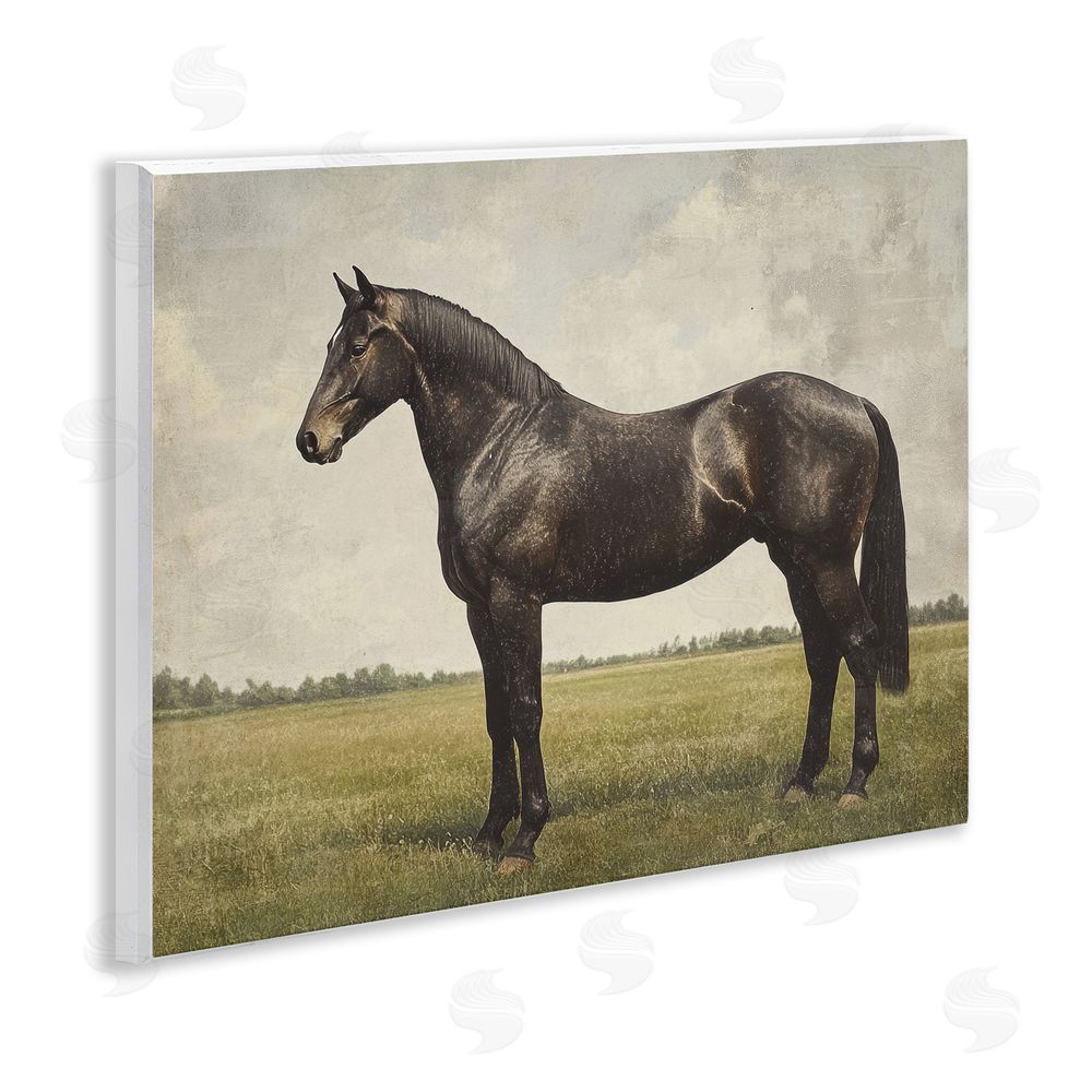 Petal Prints Design Espresso Horse in Pastoral Field Wall Plaque Home Decor Art Print