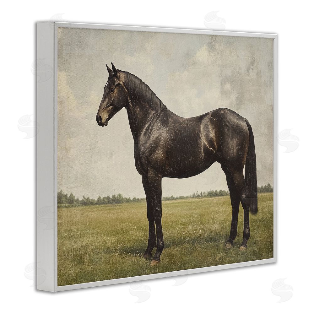 Petal Prints Design Espresso Horse in Pastoral Field White Framed Giclee Wall Art