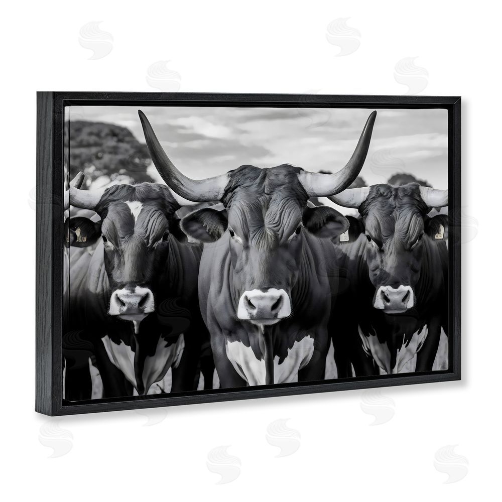 Creative Studio Three Longhorns in a Row Black Floating Framed Canvas Wall Art Print