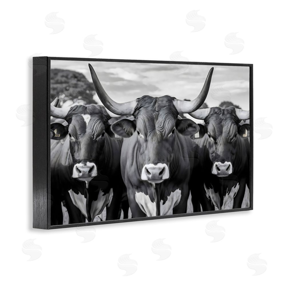 Creative Studio Three Longhorns in a Row Black Framed Giclee Wall Art Print