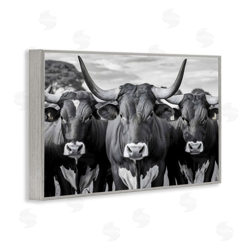 Creative Studio Three Longhorns in a Row Gray Framed Giclee Wall Art Print