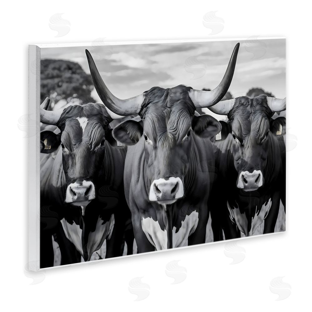 Creative Studio Three Longhorns in a Row Wall Plaque Printed Art