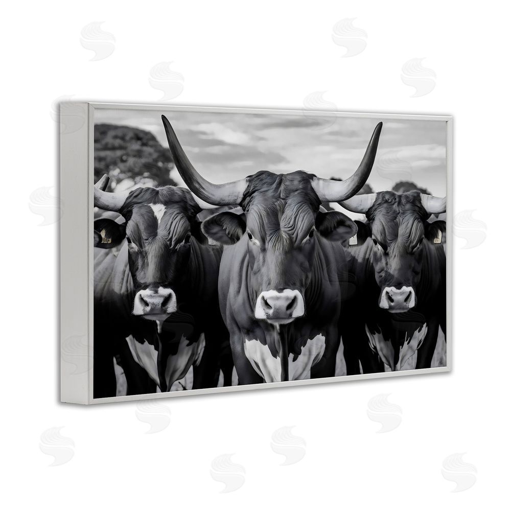 Creative Studio Three Longhorns in a Row White Framed Giclee Wall Art Print