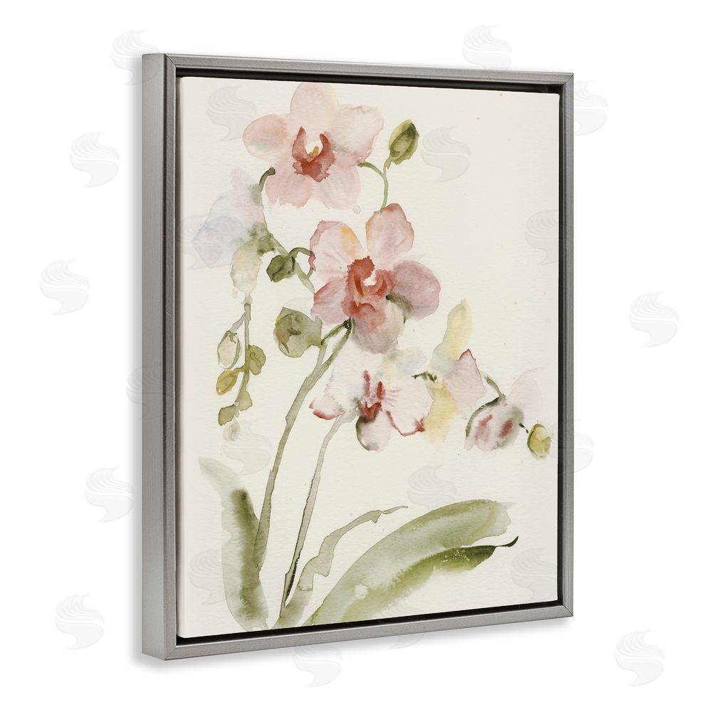 Victoria Barnes Gentle Pink Orchid in Bloom Gray Floating Framed Canvas Wall Art
