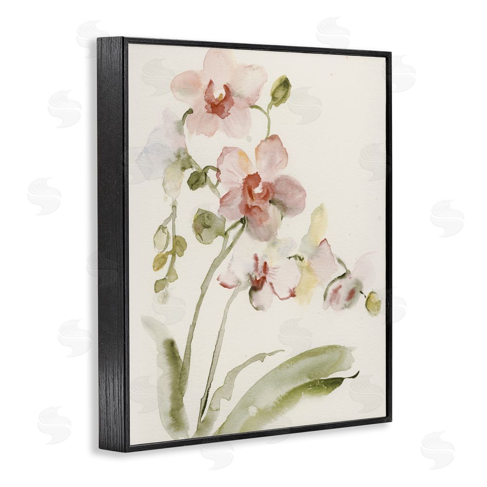 Victoria Barnes Gentle Pink Orchid in Bloom Black Framed Giclee Wall Art