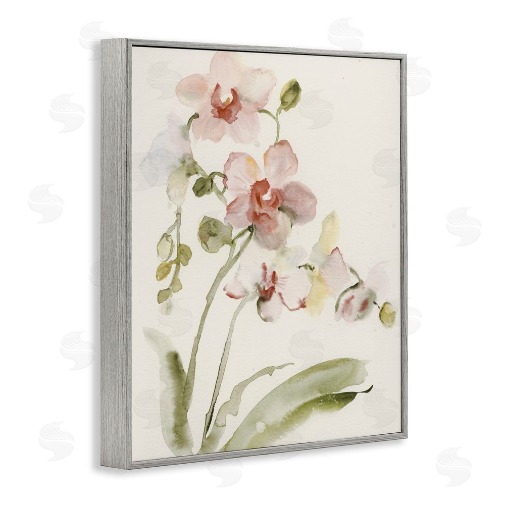 Victoria Barnes Gentle Pink Orchid in Bloom Gray Framed Giclee Wall Art