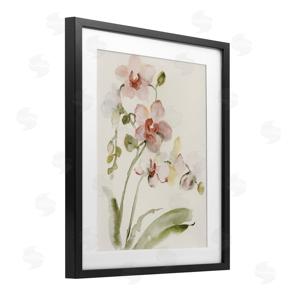 Victoria Barnes Gentle Pink Orchid in Bloom Black Framed Print Under Glass Wall Art
